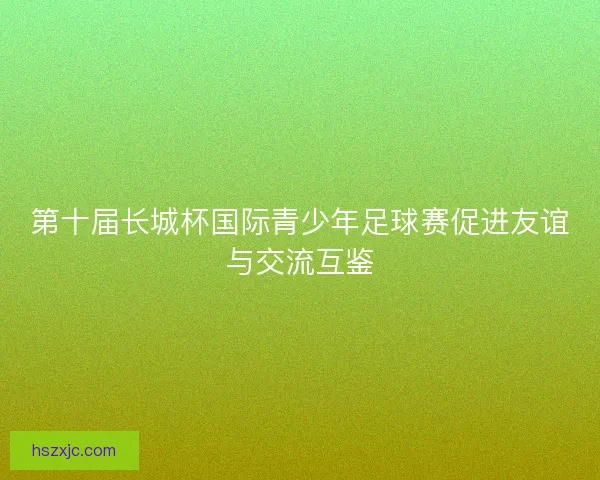 第十届长城杯国际青少年足球赛促进友谊与交流互鉴
