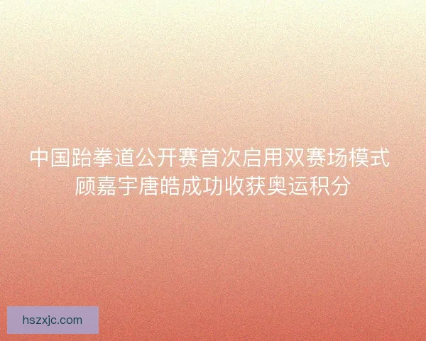 中国跆拳道公开赛首次启用双赛场模式 顾嘉宇唐皓成功收获奥运积分 中国跆拳道公开赛首次启用双赛场模式 顾嘉宇唐皓成功收获奥运积分