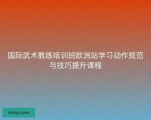 国际武术教练培训班欧洲站学习动作规范与技巧提升课程 国际武术教练培训班欧洲站学习动作规范与技巧提升课程